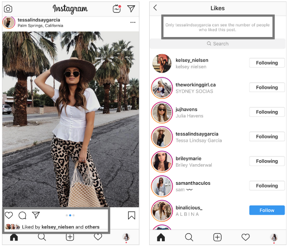 Instagram user interface after hiding the likes